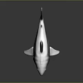 Realistic Gray Shark 3D Model With Sharp Teeth And Dark Background Reflection