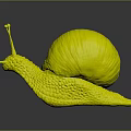 Snail With Red Shell Textured Body And Long Antennae On Gray Background