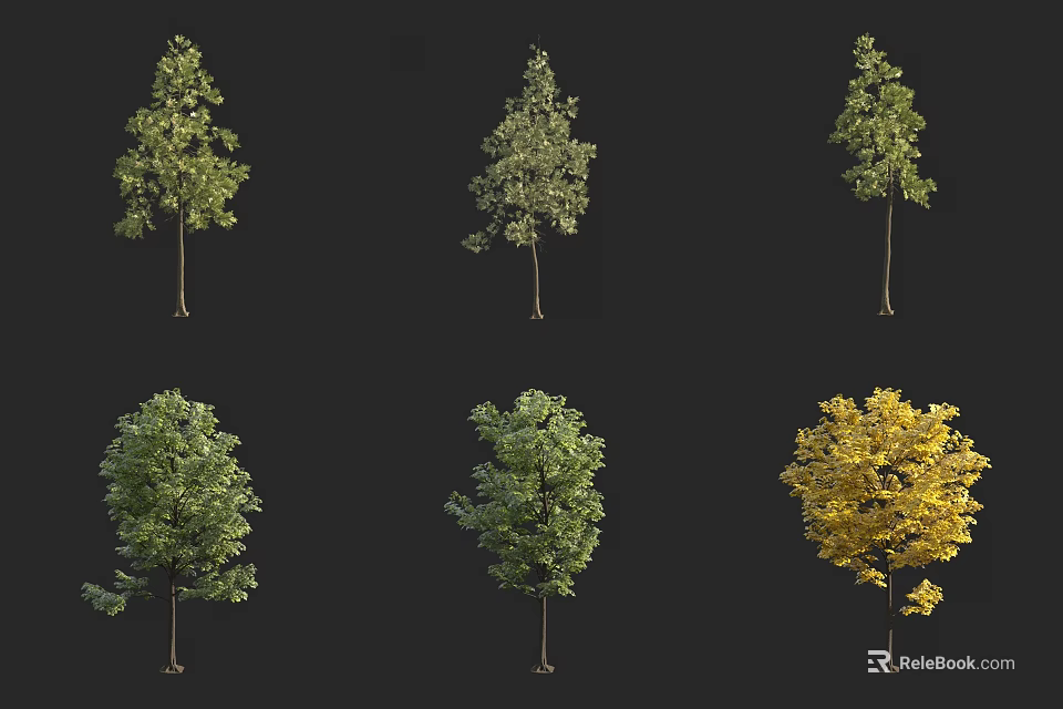 Various Arbor Trees with Different Forms and Green Yellow Foliage for Landscape Design 3d model