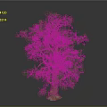 Tall Lush Tree with Thick Brown Trunk and Green Foliage in