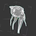 Detailed 3D Model of Octopus with Curved Tentacles and Distinct Head Structure