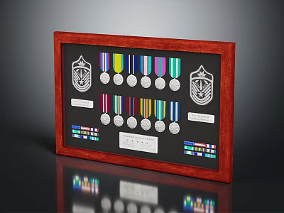 Wooden Frame Display Case With Military Medals Ribbons Emblems And Plaque 3d model