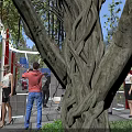 Media Event With People Photographers Red Curtains White Curved Structures Palm Trees And Green Plants