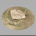Natural Stone Piece On Wooden Circular Platform With Grass And Small Stones