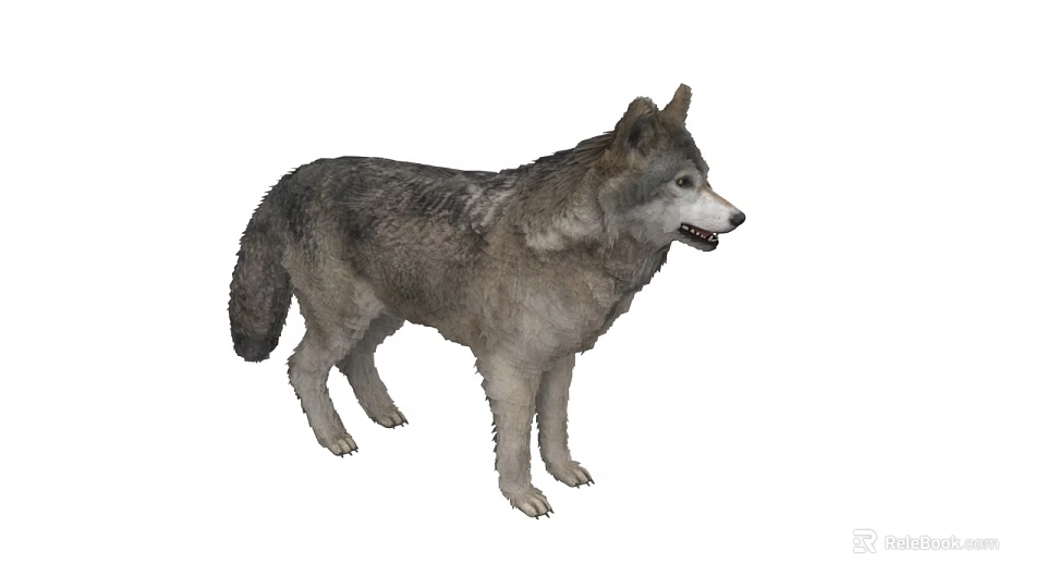 Gray Reptile Standing With Detailed Skin Texture And Natural Posture 3d model 