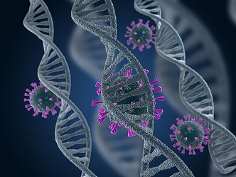 Modern virus spirochetes 3d model