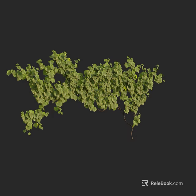 Lush Green Vine With Dense Foliage And Natural Branches Design 3d model 