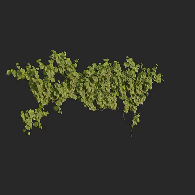 Lush Green Vine With Dense Foliage And Natural Branches Design 3d model