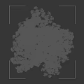 Tall Arbor With Lush Green Leaves And Straight Trunk Against Black Background With Human Silhouette