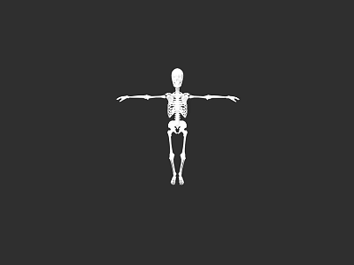 Human Skeletal System Anatomical Model White Skeleton Standing With Arms Outstretched On Black Background 3d model