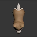 Adorable 3D Corgi Dog Model With Brown White Fur And Red Eyes