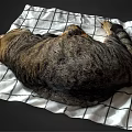 Adorable Tabby Cat Sleeping Peacefully On Black And White Plaid Blanket