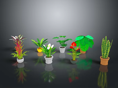 Various Indoor Potted Plants With Different Leaf Shapes And Colorful Foliage 3d model