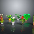Various Indoor Potted Plants With Different Leaf Shapes And Colorful Foliage