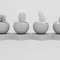 Bonsai Potted Plants with Cactus and Succulent in Textured Pots on Wooden Base