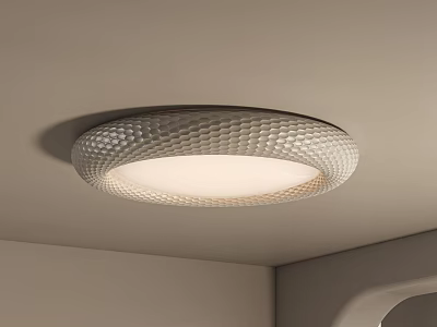 Modern Round Textured Ceiling Light With Soft Illumination For Interior Space 3d model