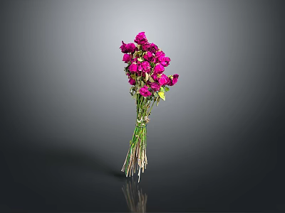 Realistic Style Dried Rose Bouquet Rose Bouquet Flowers Plants Flowers Botany Petal Cripson 3d model