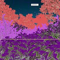 Lush Plants With Green Leaves And Purple Flowers Under Starry Night Sky