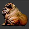 Shar Pei Dog With Wrinkled Skin Sitting On Dark Surface With Shiny Coat