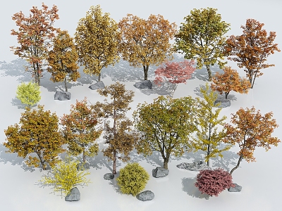 arbor ginkgo tree autumn landscape tree autumn tree yellow tree five-pointed maple willow tree model