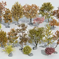 arbor ginkgo tree autumn landscape tree autumn tree yellow tree five-pointed maple willow tree 3d model