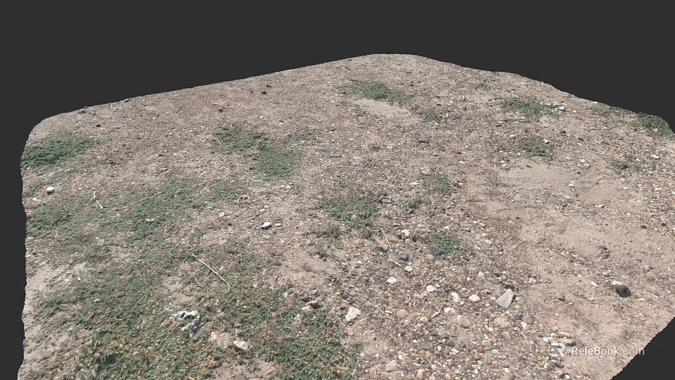Microtopography Natural Ground Surface With Scattered Vegetation And Small Stones 3d model 