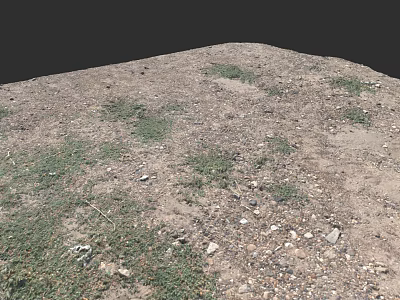 Microtopography Natural Ground Surface With Scattered Vegetation And Small Stones 3d model