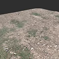 Microtopography Natural Ground Surface With Scattered Vegetation And Small Stones
