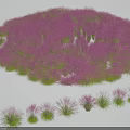 Beautiful Pink Grass Field With Lush Clusters Of Different Plants And Vibrant Green Leaves