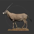 Light Brown Oryx Taxidermy Mount With Long Horns Rock Base