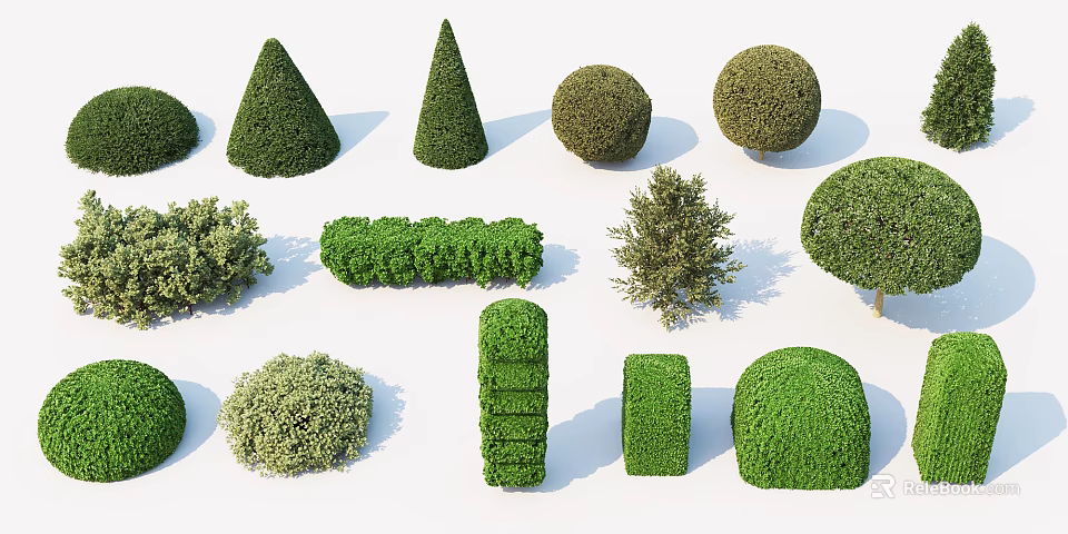 Various Shaped Well Trimmed Garden Shrubs Including Conical Spherical And Square Forms 3d model 
