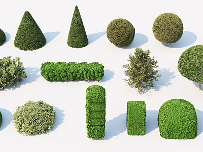 Various Shaped Well Trimmed Garden Shrubs Including Conical Spherical And Square Forms 3d model
