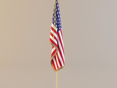 Flag model