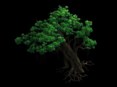 Lush Green Tree With Thick Trunk Exposed Roots And Dense Foliage Against Black Background 3d model