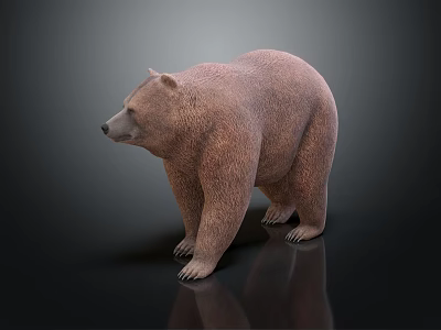 Modern Bear Brown Bear 3d model