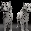 Two White Tiger Statues With Detailed Stripes And Lifelike Postures For Art