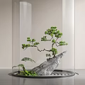 Delicate Miniature Garden Scene With Bonsai Pine Stone Glass Cover And Water Ripple Base