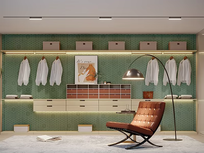 Modern Closet Interior Design With Green Wall Storage Boxes White Hanging Clothes And Brown Chair 3d model