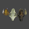 Various Animal Skulls Display With Labeled Letters For Educational Purpose