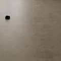Light Colored Floor Tiles with Small Black Object on Smooth Cement Like Surface 3d model