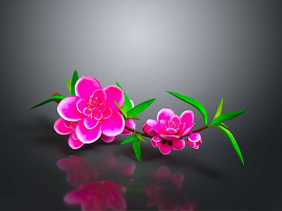 Decorative Pink Flower Branch With Green Leaves And Reflection For Home Decor 3d model