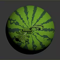 Ripe Green Striped Watermelon With Fresh Vine And Leaves On Top