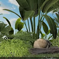 Vibrant Green Shrub in Tropical Garden With Large Leaves Stone and Lush Foliage Accents