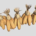 Golden Dried Corn Cobs With Husks Arranged In A Straight Row
