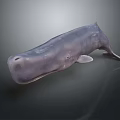 Gray Whale 3D Model with Sleek Surface Side View on Dark Background 3d model
