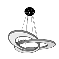 Modern Unique Shaped Chandelier With Circular Ring Design And Black White Finish