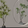 Potted Bonsai Plants with Slender Leaves Round Mirror Reflection And Stylish Planters