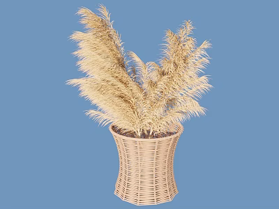 Stylish Decorative Wicker Vase With Natural Pampas Grass On Blue Background 3d model