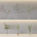 Potted Green Plants in Transparent Vases Arranged on Two Shelves Gray Wall With Golden Base Vase
