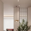 Minimalist Foyer Passage With Slatted Partition Potted Plant And Living Room View